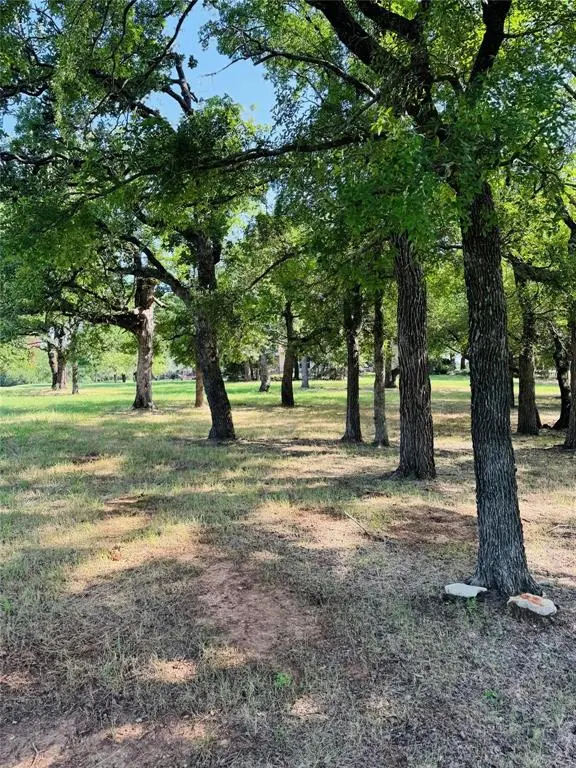 Whitney, TX 76692,14004 Sandy Oaks Drive
