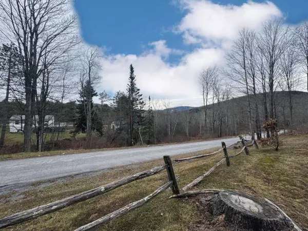 Hunter, NY 12442,49 Ryan RD