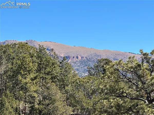 Cripple Creek, CO 80813,1196 Wellington DR