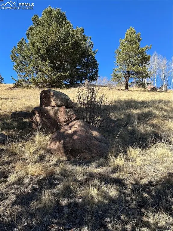 Cripple Creek, CO 80813,1196 Wellington DR