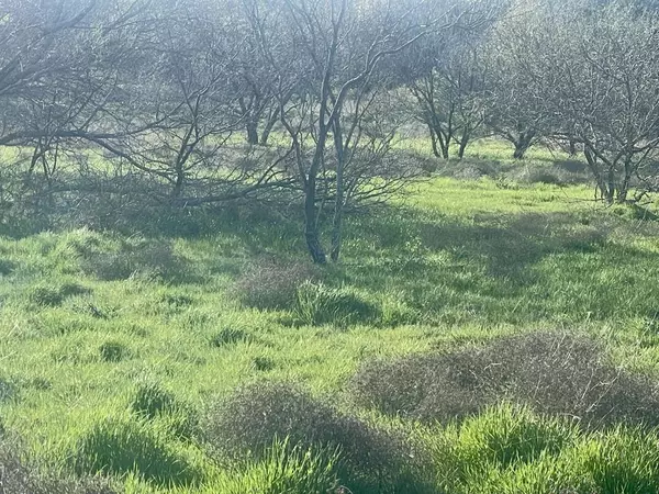 Sunset, TX 76270,1594 County Road 1886