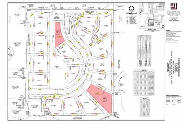 Oak Point, TX 75068,337 W Dickson Lane