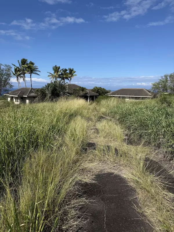 56-2962 PUAKEA BAY DR, Hawi, HI 96719