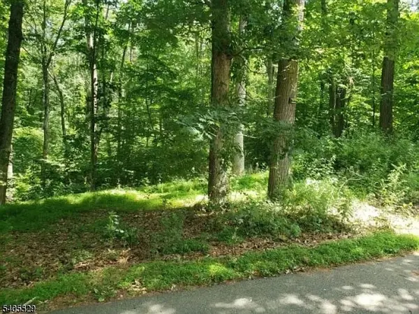 8 Cub Lake Rd, Byram Twp., NJ 07821