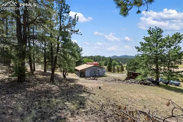 Florissant, CO 80816,272 Spring Valley TRL