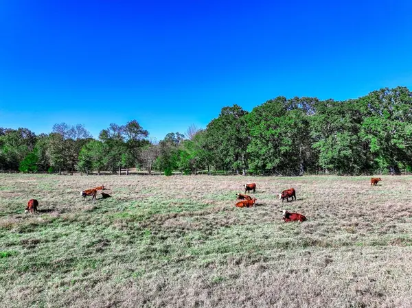 Cunningham, TX 75434,000 FM 196