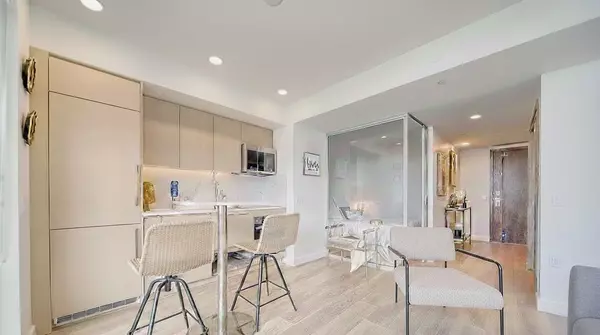 Toronto C01, ON M5V 0P7,38 Widmer ST #2510