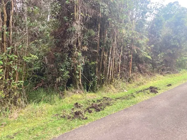 ROAD 5, Volcano, HI 96785