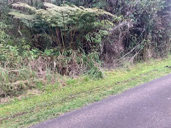 ROAD 5, Volcano, HI 96785