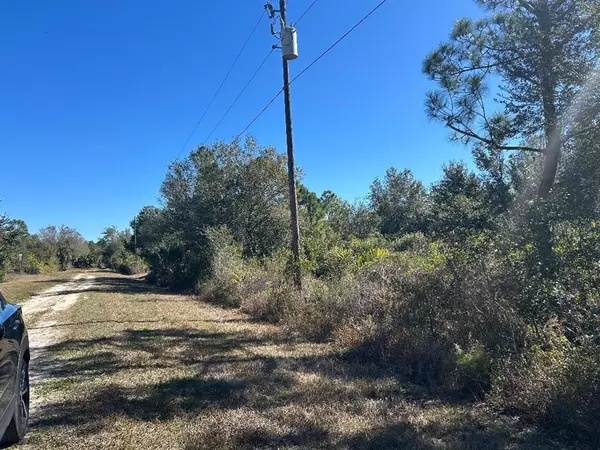 Punta Gorda, FL 33955,28141 SE Monte Cristo