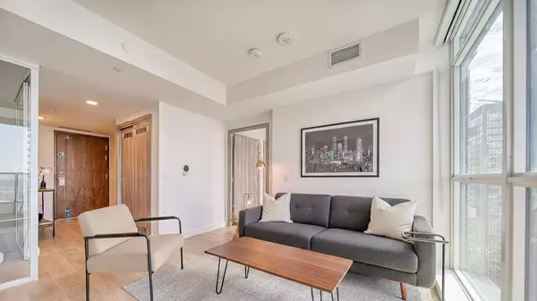 Toronto C01, ON M5V 0P7,38 Widmer ST #2510