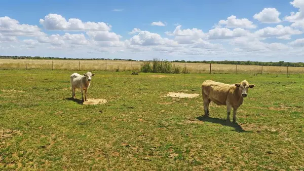 Gorman, TX 76454,1359 County Road 195