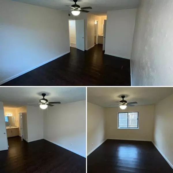 Garland, TX 75043,4913 Spindrift