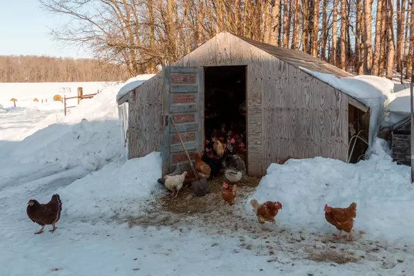 Chatsworth, ON N0H 1R0,797177 East Back Line