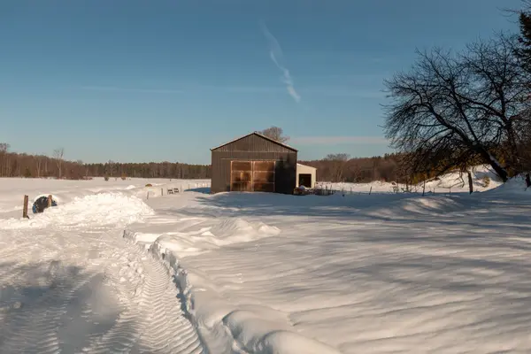 Chatsworth, ON N0H 1R0,797177 East Back Line