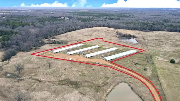 Omaha, TX 75571,TBD CR 3327