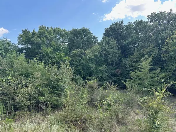 Alba, TX 75410,RS Private Road 6372