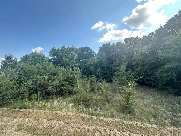 Alba, TX 75410,RS Private Road 6372