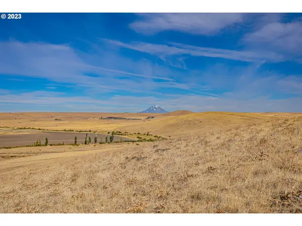 Centerville, WA 98613,1602 CENTERVILLE HWY