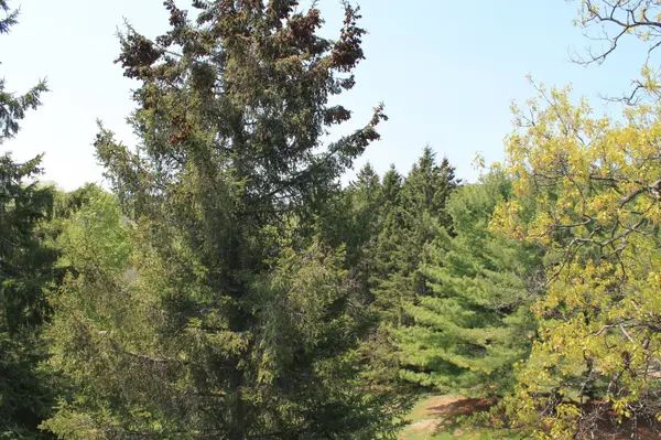 Huntsville, ON P1H 2E8,1235 Deerhurst DR #52-305