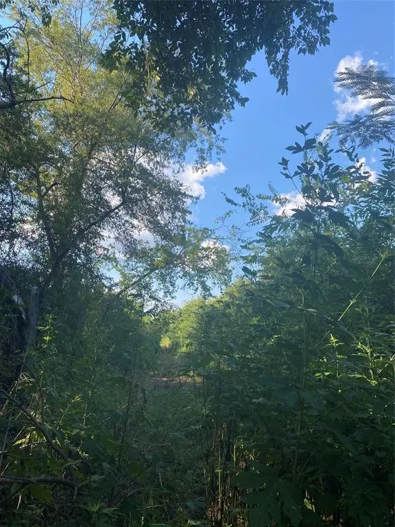 LOT 49 Harris, Sulphur Springs, TX 75482