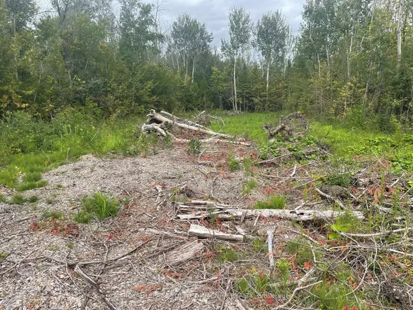 Kawartha Lakes, ON K0M 2B0,831 Centennial PARK