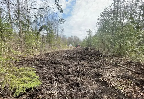 Kawartha Lakes, ON K0M 2B0,831 Centennial PARK