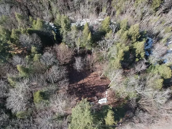 Huntsville, ON P1H 2J3,50 Concession 2 and 3 RD W