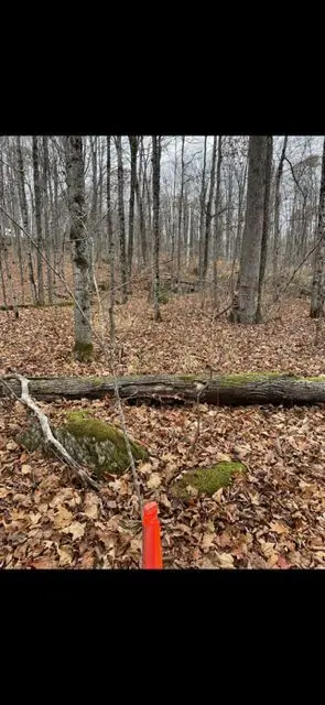 Frontenac, ON K0H 1B0,0 Myers Cave RD