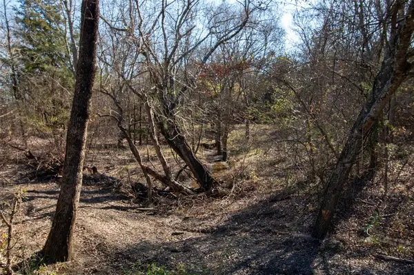 Dodd City, TX 75438,Lot 6 County Road 2905