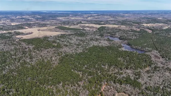 TBD An County Road 314, Frankston, TX 75763