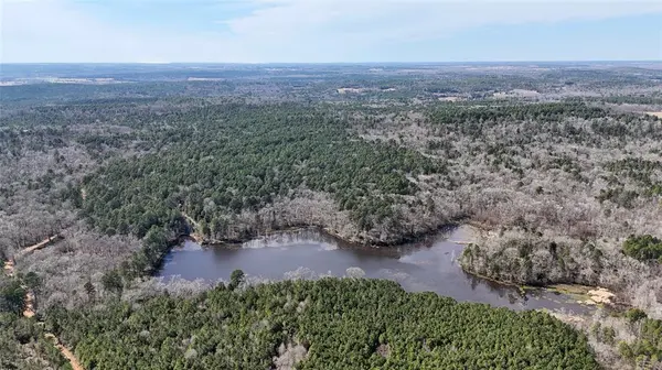 TBD An County Road 314, Frankston, TX 75763