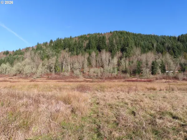 LARSON RD, Mossyrock, WA 98564