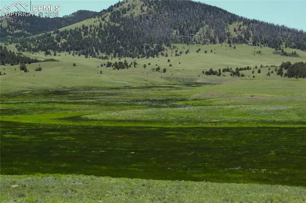 Guffey, CO 80820,Highway 9