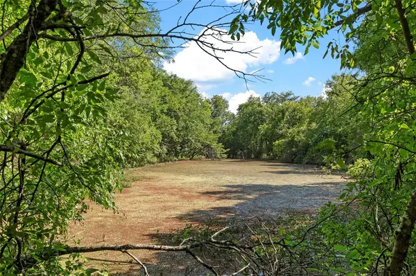 TBD County Road 214, Coolidge, TX 76635