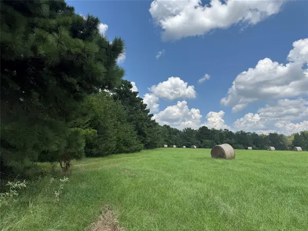 Jacksonville, TX 75766,1466 CR 3214