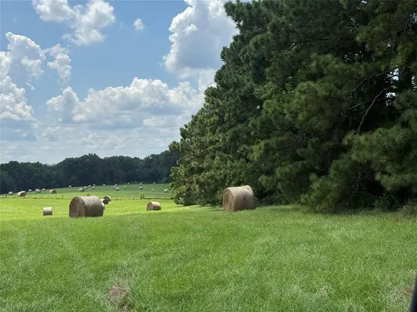 Jacksonville, TX 75766,1466 CR 3214