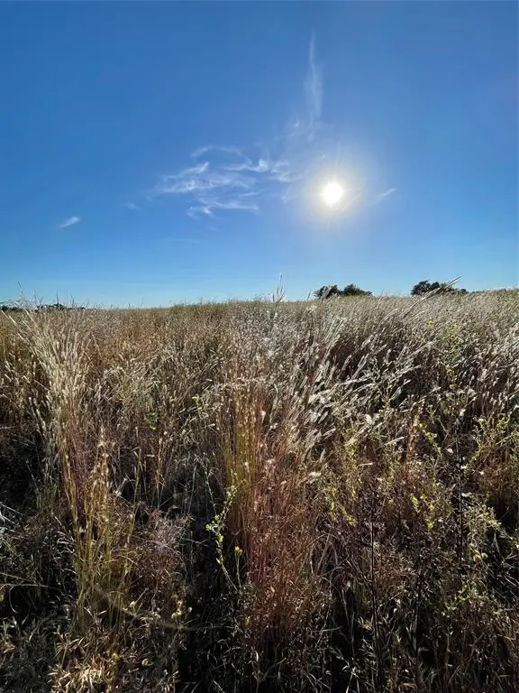 Wills Point, TX 75169,935 VZ County Road 3201