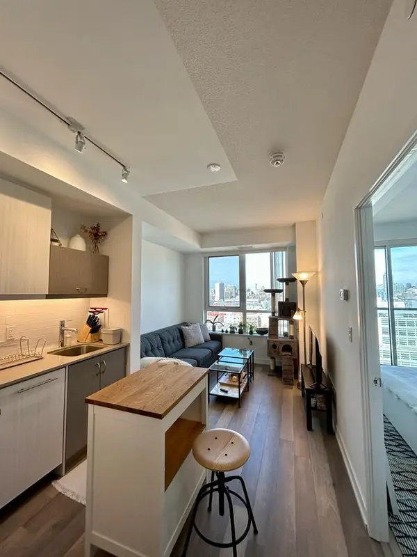 Toronto C01, ON M5T 0C1,181 Huron ST #1606