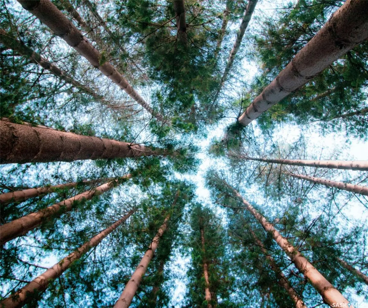 Rural Address, Meeting Lake, SK S0M 2L0