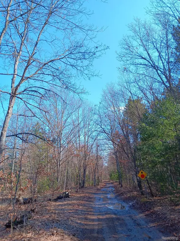 Wellston, MI 49689,0000 Cedar Creek RD