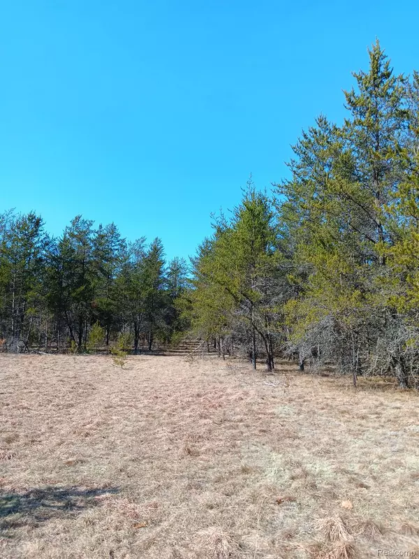 Wellston, MI 49689,0000 Cedar Creek RD