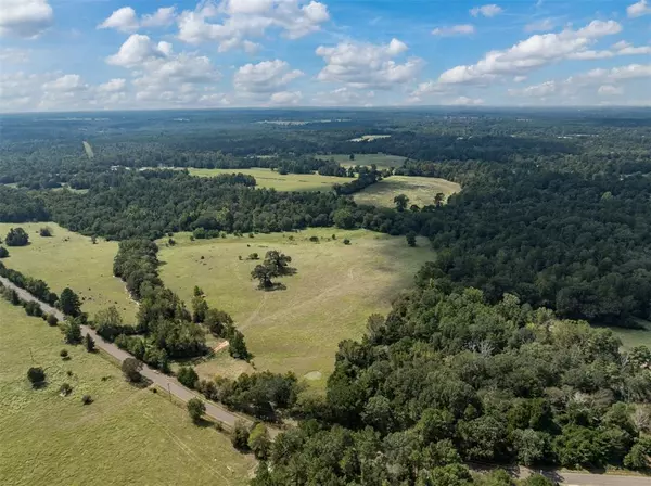 Palestine, TX 75801,Tract 1A An County Road 153