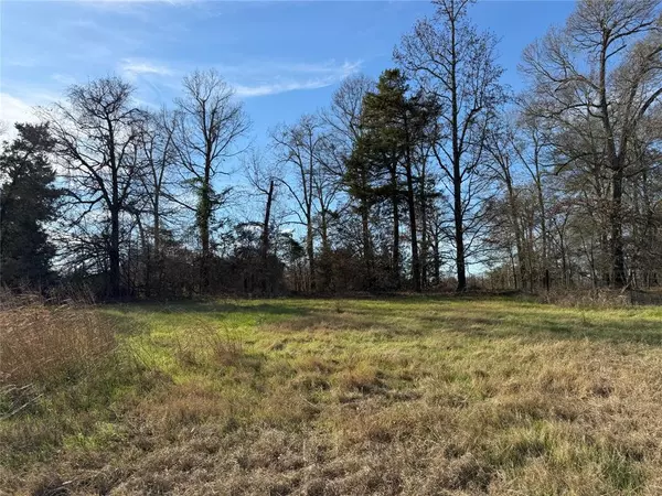 Bullard, TX 75757,21348 Memory Lane