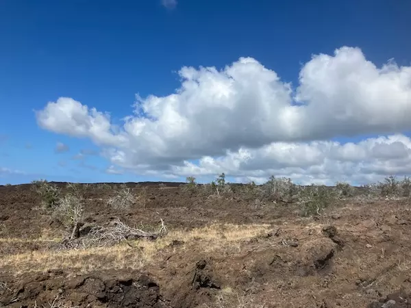 Ocean View, HI 96737