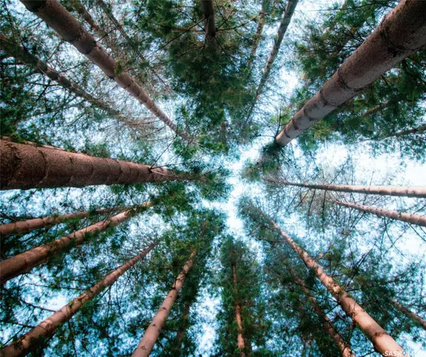 Rural Address, Meeting Lake, SK S0M 2L0