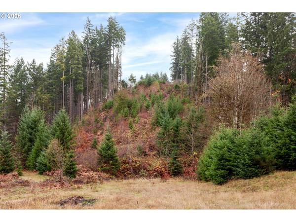 NW Ranch DR, Banks, OR 97106