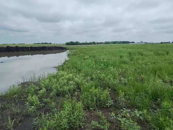 Cooper, TX 75432,4225 County Road 4225