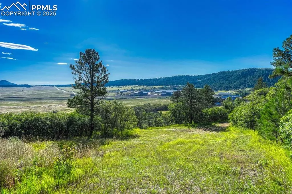 Larkspur, CO 80118,00 Columbine RD