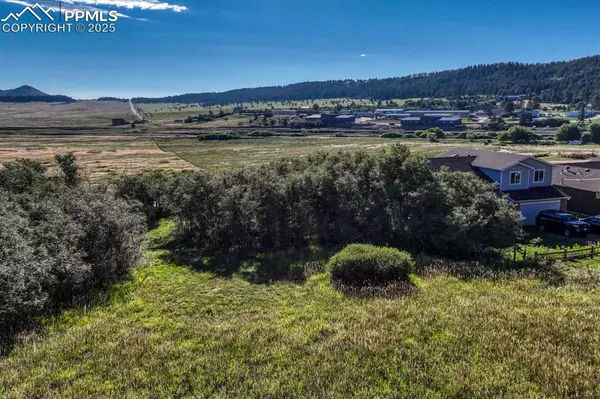 Larkspur, CO 80118,15989 S Perry Park RD